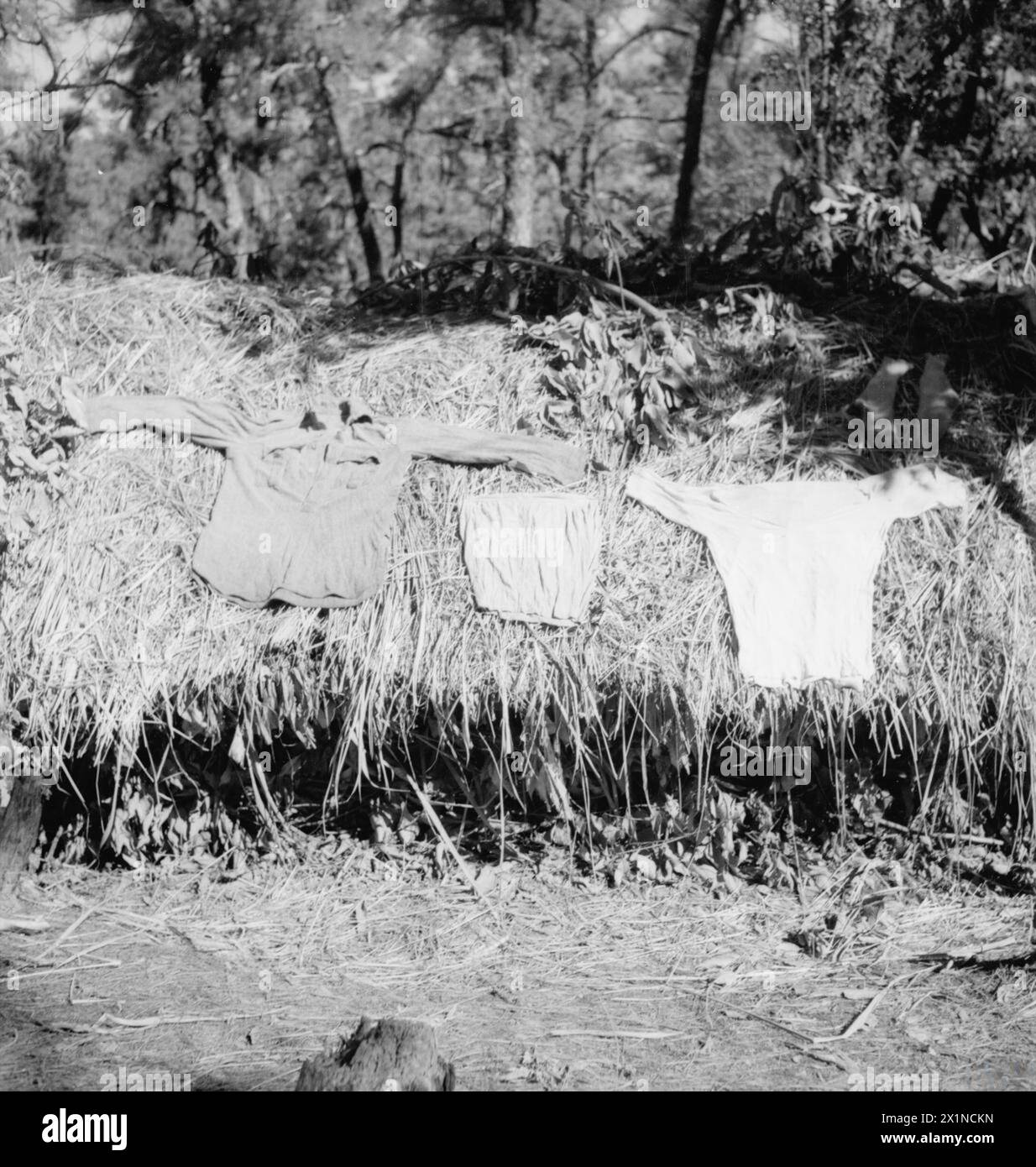 DER KRIEG IM FERNEN OSTEN: DIE BIRMA-KAMPAGNE 1941-1945 - Wäschetrocknung auf dem Dach eines dschungelbaschas in Chin Hills, Arakan, Burma, 1944 Stockfoto