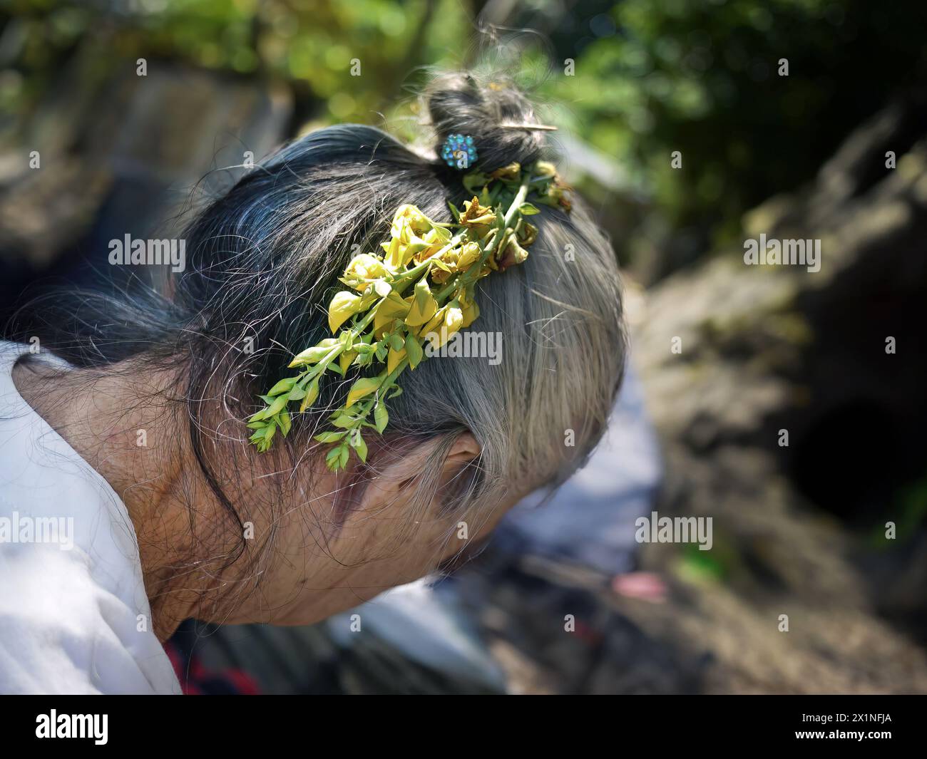 Nahaufnahme der Rückseite des Kopfes der alten Dame, ihre grauen Haare in einem Brötchen getragen mit winzigen Blumen, lokale Thai-Frisuren, verschwommener Hintergrund Stockfoto