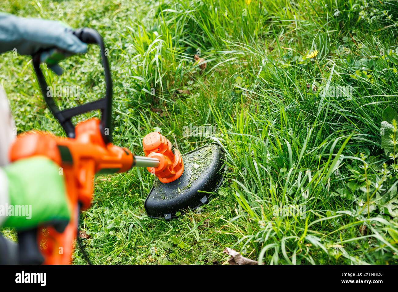 Gärtner mit elektrischem Unkrauttrimmer zum Schneiden von Gras im Garten. Rasenpflege im Garten Stockfoto