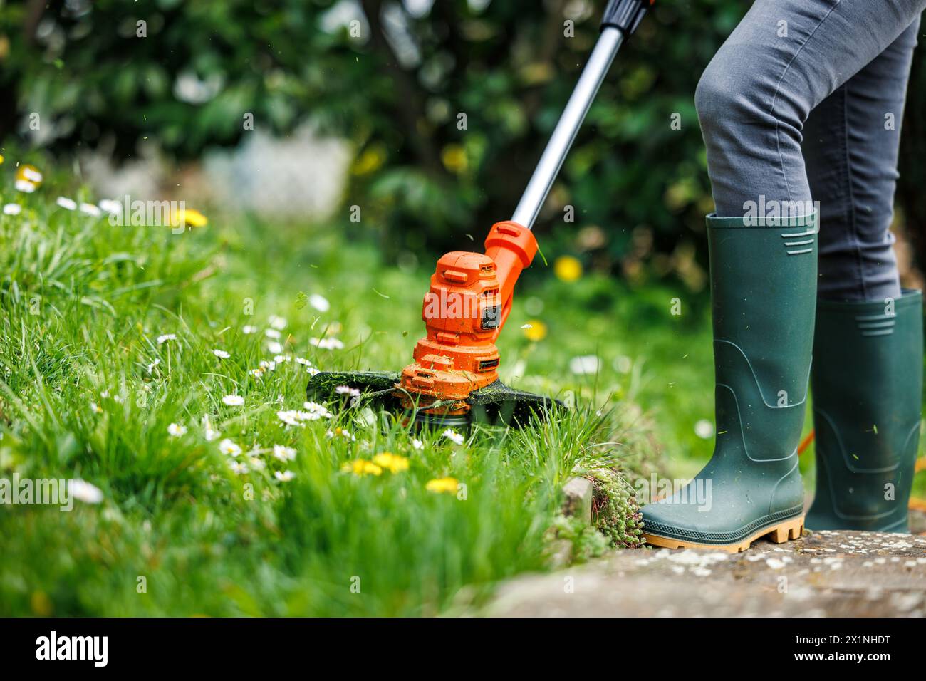 Rasentrimmer. Die Frau schneidet Gras im Garten. Rasenpflege im Frühjahr Stockfoto