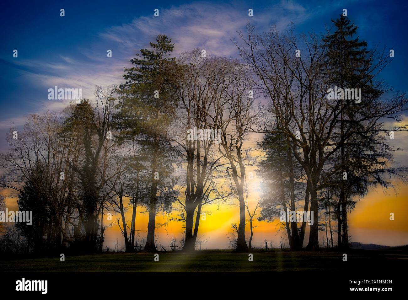 DE - BAYERN: Sonnenlicht in der Dunkelheit von Edmund Nagele FRPS Stockfoto