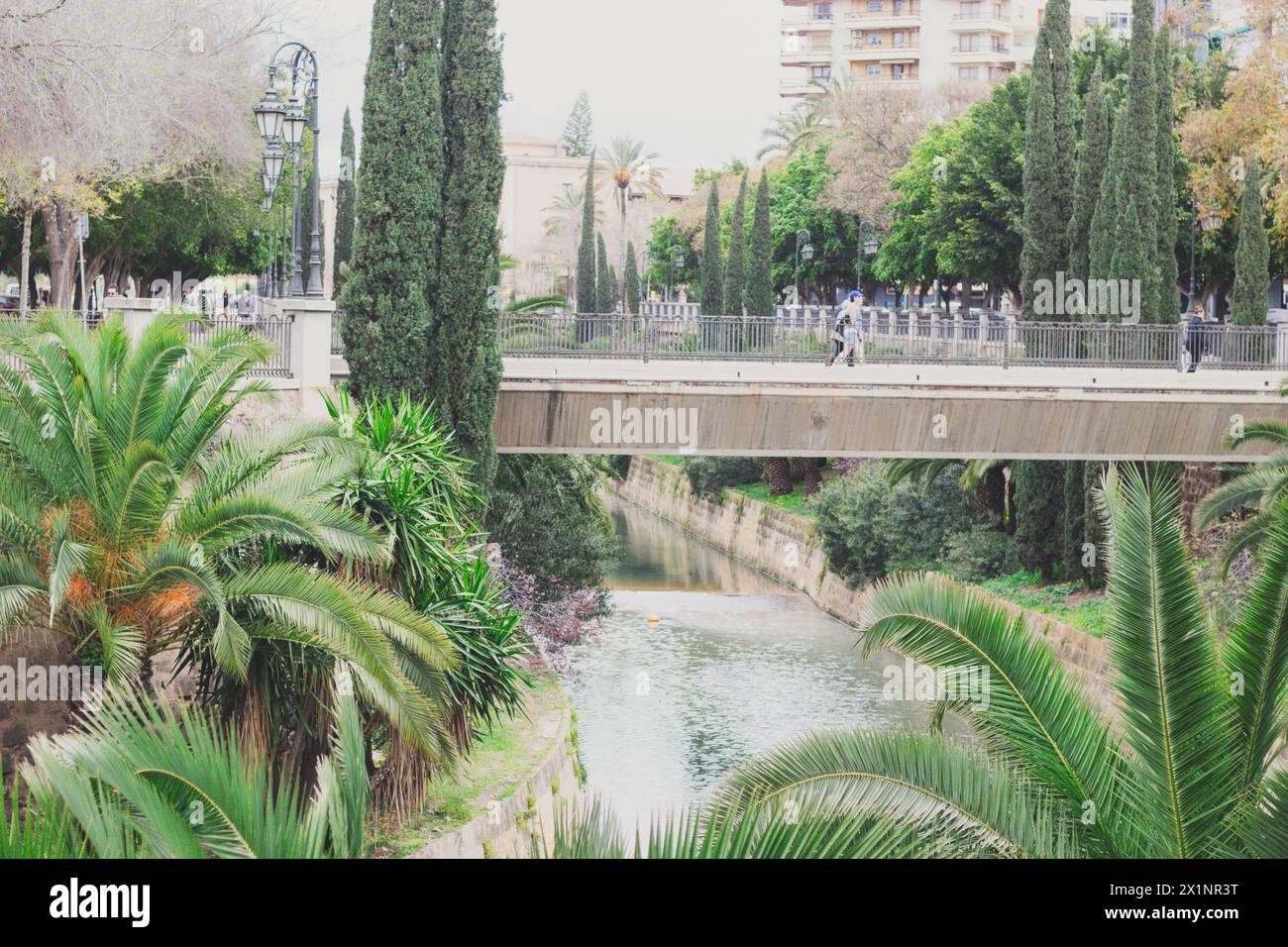 Eine malerische Brücke überspannt einen ruhigen Fluss, der mit üppigen Palmen geschmückt ist. Die Menschen schlendern gemütlich entlang der Brücke und genießen die ruhige Umgebung Stockfoto