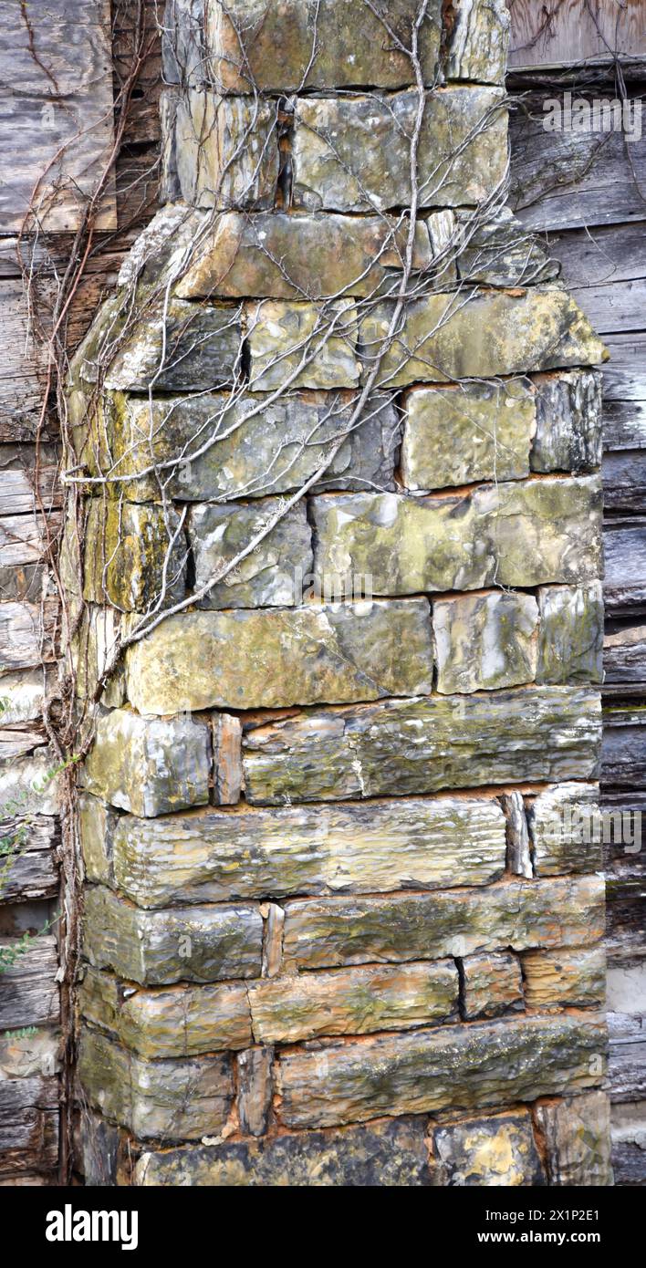 Raue, behauene Steine passen zusammen, um diesen Schornstein auf einem alten Blockhaus zu bilden. Überall wachsen Rebstöcke. Stockfoto