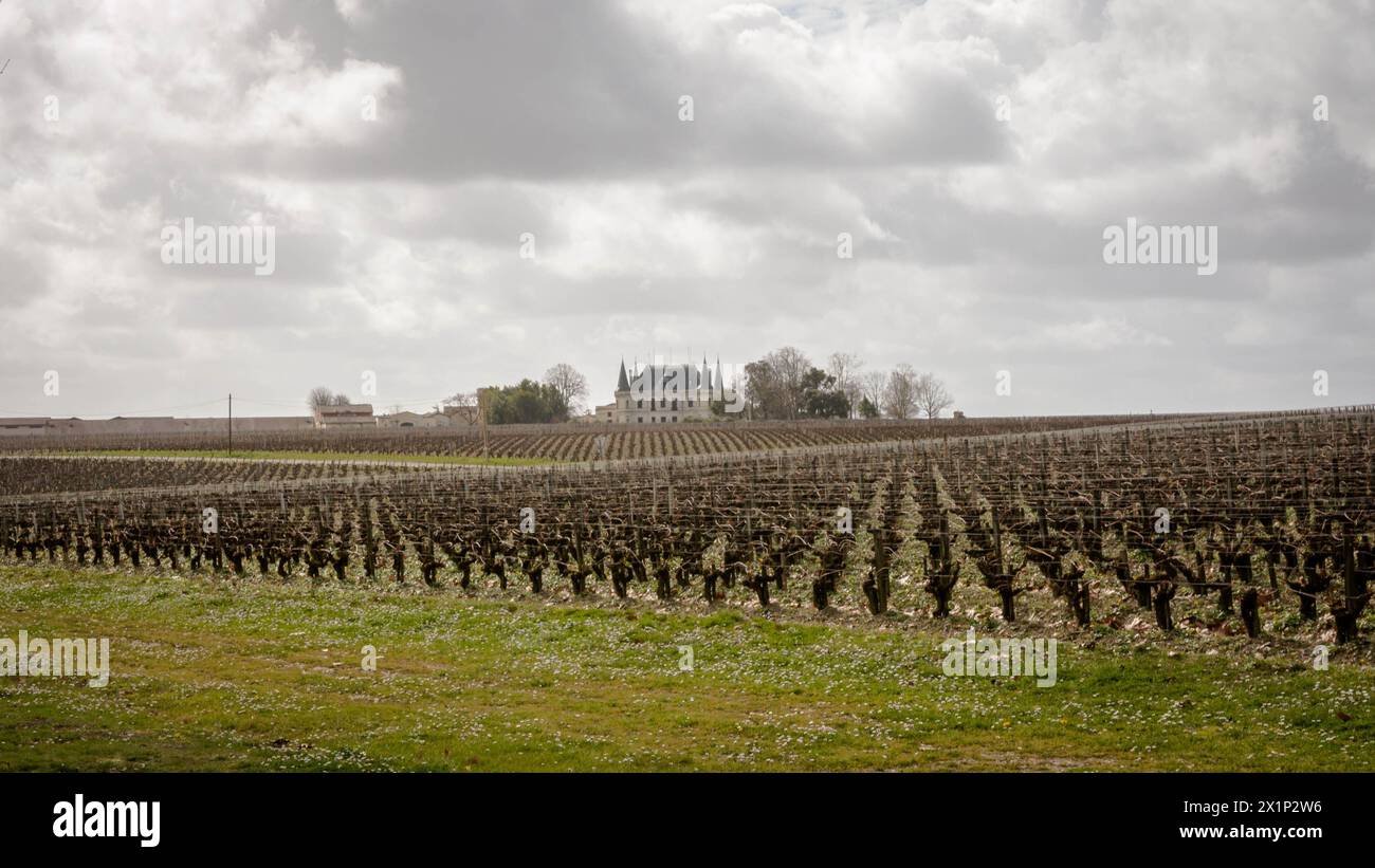 Blick aus der Weinregion Médoc, Frankreich Stockfoto