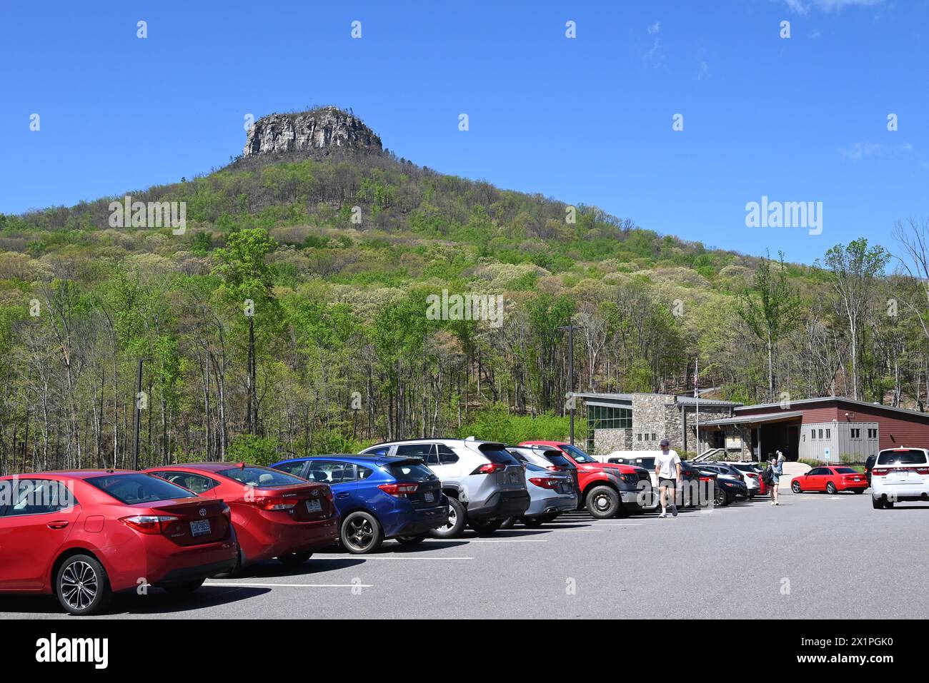 Blick auf Pilot Mountain vom Besucherzentrum im gleichnamigen Pilot Mountain State Park in North Carolina. Stockfoto