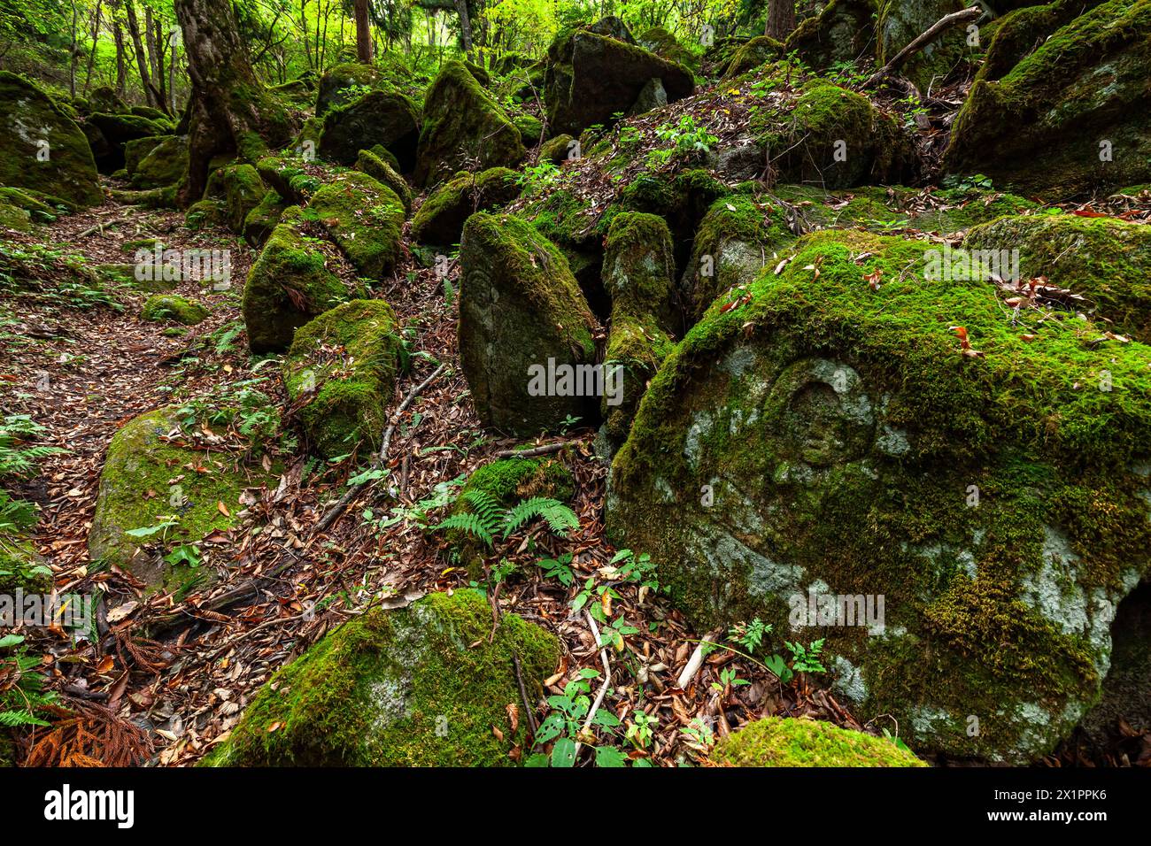 Tono Gohyaku Rakan, Relief buddhistischer Mönche aus Natursteinen, Naturgalerie, Tono City, Iwate, Tohoku, Japan, Ostasien, Asien Stockfoto