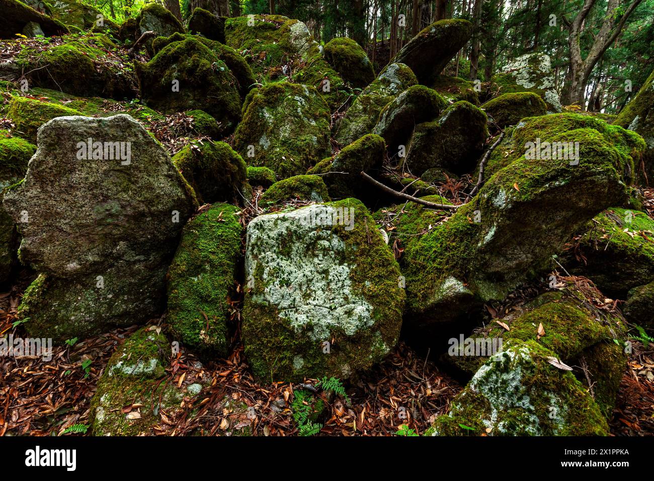Tono Gohyaku Rakan, Relief buddhistischer Mönche aus Natursteinen, Naturgalerie, Tono City, Iwate, Tohoku, Japan, Ostasien, Asien Stockfoto