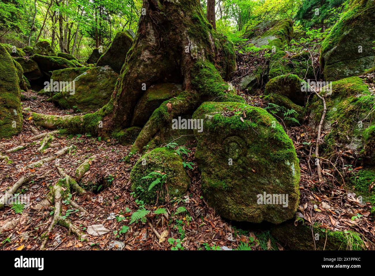 Tono Gohyaku Rakan, Relief buddhistischer Mönche aus Natursteinen, Naturgalerie, Tono City, Iwate, Tohoku, Japan, Ostasien, Asien Stockfoto