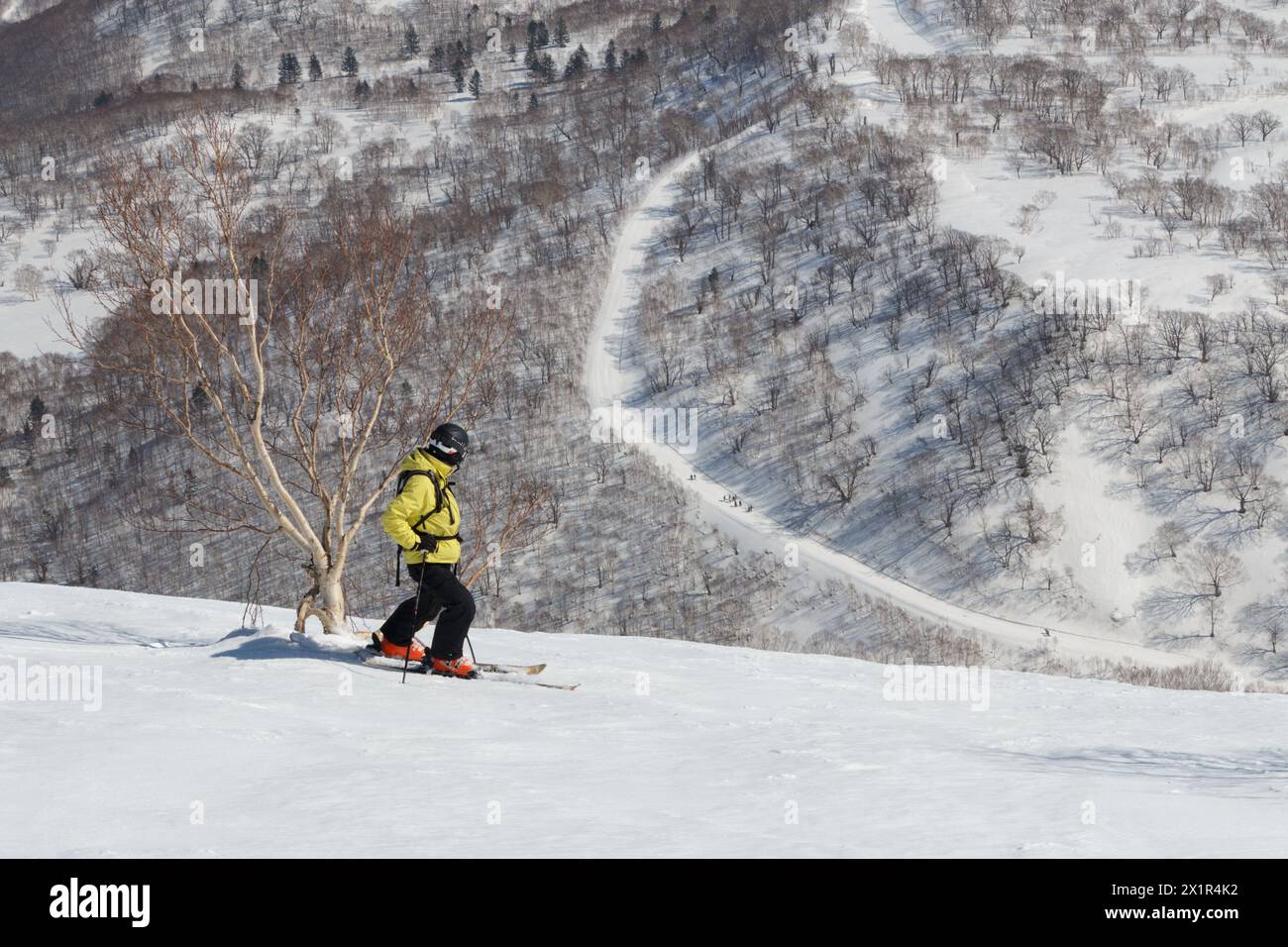 Männlicher Skier, der auf dem Berg steht und auf das Hinterland blickt Stockfoto