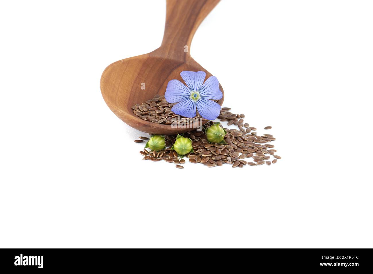 Holzlöffel gefüllt mit kleinen braunen Leinsamen und einer blauen Leinpflanze blüht neben Leinsamen-Früchten runde Kapseln isoliert auf weißem Hintergrund Stockfoto