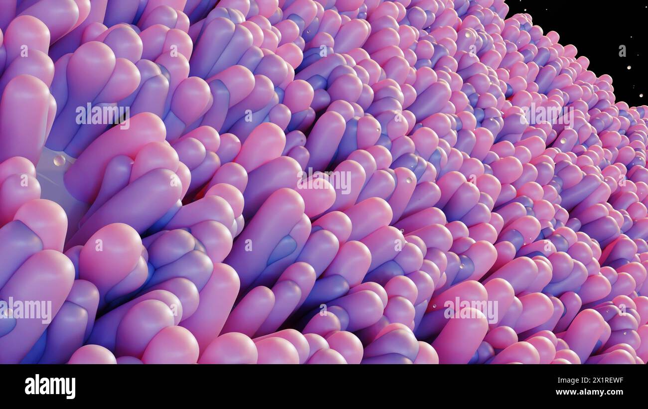 3D-Rendering des Darmepithels ist die Einzelzellschicht, die die Luminaloberfläche des Darms (Dickdarm) des Magen-Darm-Trakts bildet Stockfoto