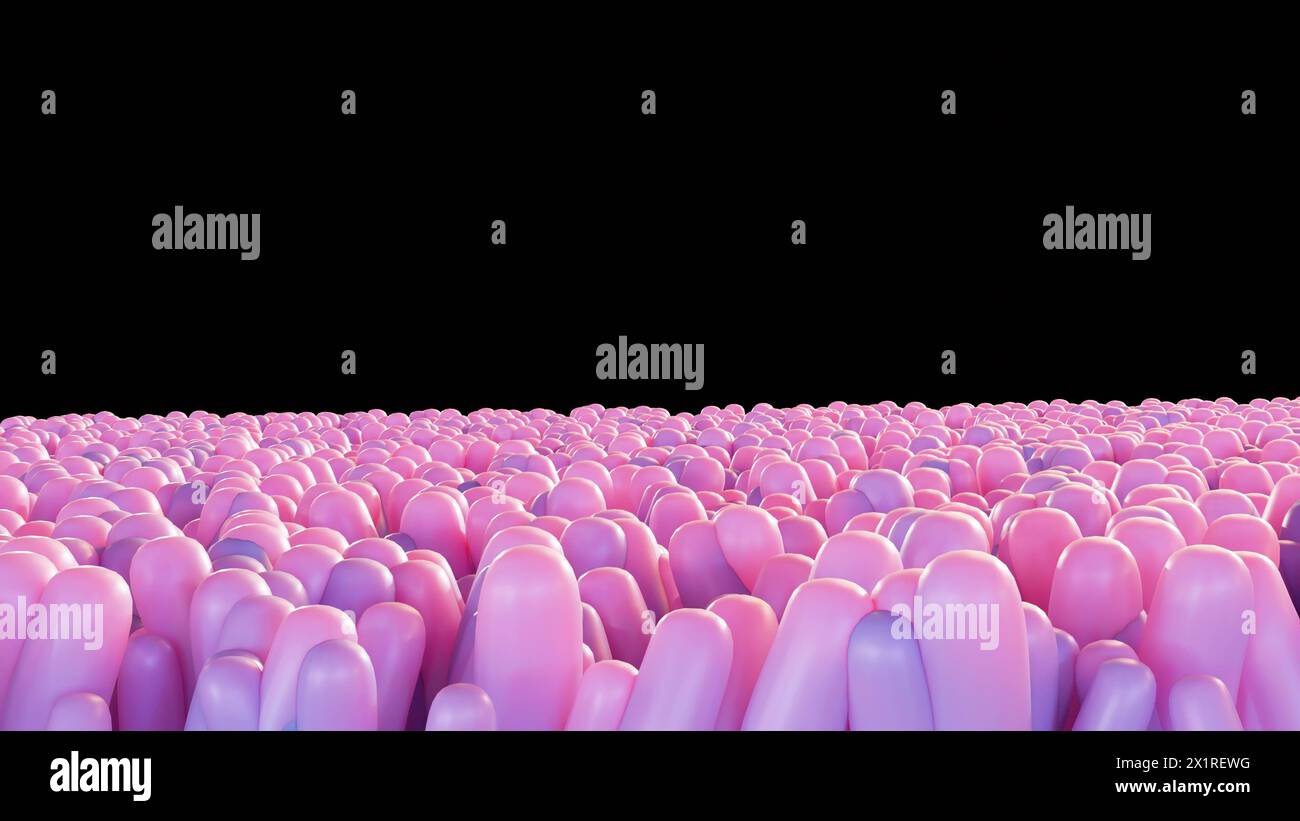 3D-Rendering des Darmepithels ist die Einzelzellschicht, die die Luminaloberfläche des Darms (Dickdarm) des Magen-Darm-Trakts bildet Stockfoto