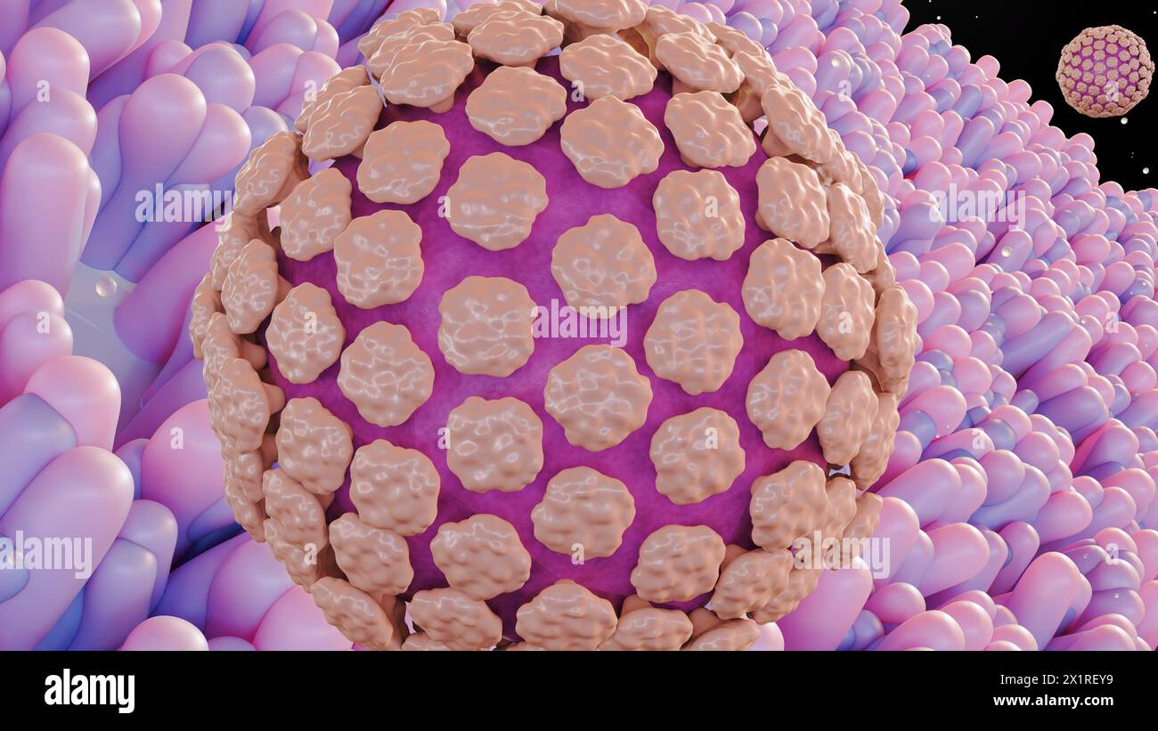 3d Rendering von Norovirus ist ein hoch ansteckendes Virus, das Erbrechen und Durchfall verursacht, und nennt die „Magengrippe“ oder „Magenwanze“ Stockfoto