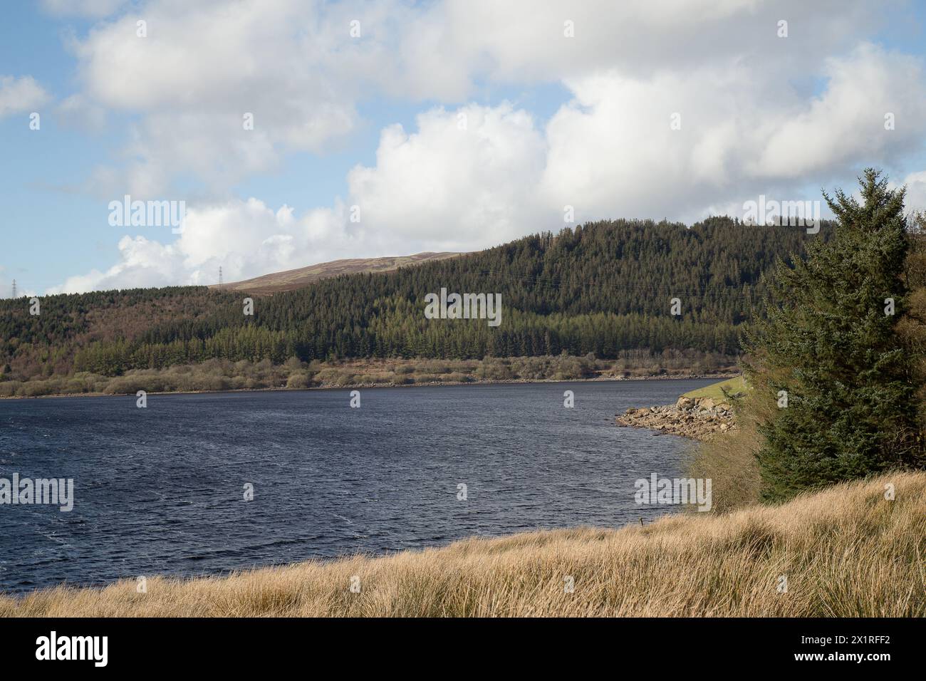 Llyn Tegid Bala Lake Stockfoto