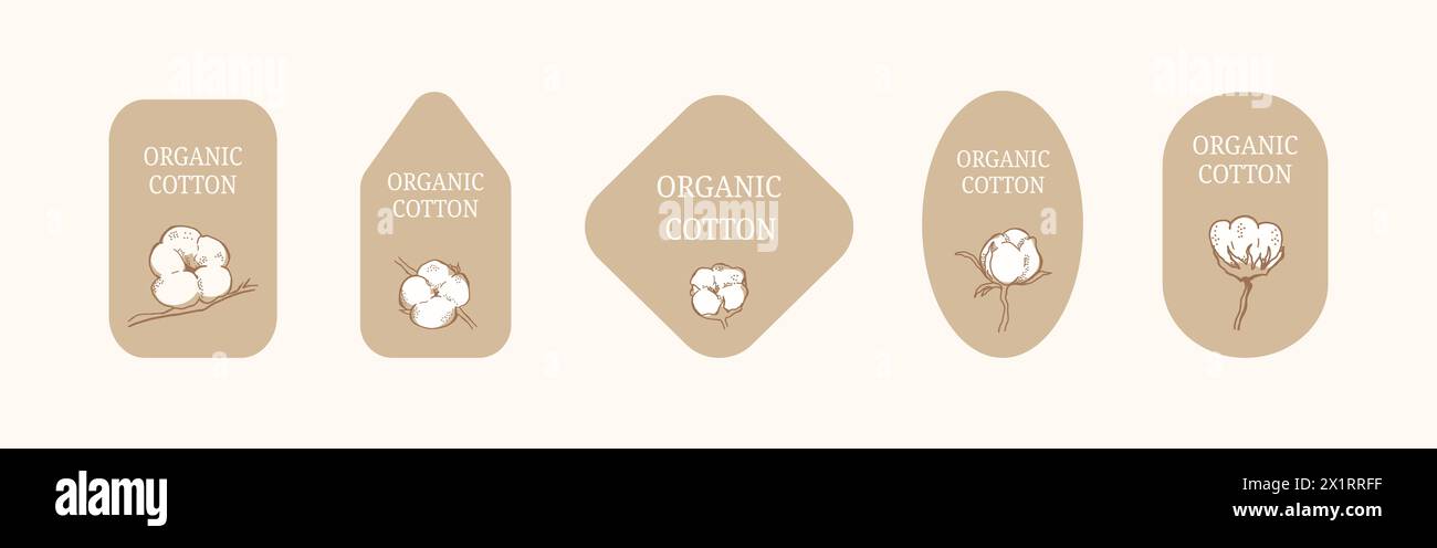 Hintergründe unterschiedlicher Formen. Horizontale Set-Etiketten mit Baumwollbällchen auf beigefarbenem neutralem Hintergrund und der Aufschrift: Bio-Baumwolle. Die Kompott Stockfoto