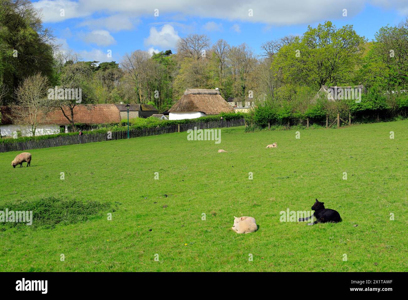 Frühlingsszene, St. Fagans National Museum of History/Amgueddfa Werin Cymru, Cardiff, Südwales, Großbritannien. Stockfoto