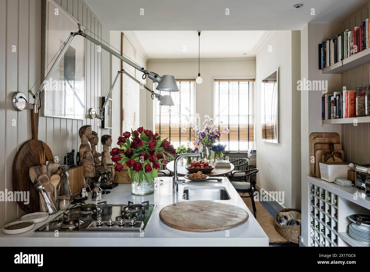 Schneiden Sie Tulpen und anglepoise Lampen in der offenen Küche des Chelsea HOME, London, Großbritannien Stockfoto