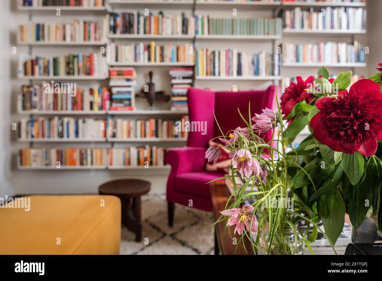 Rote Blumen und Bücherregale in Chelsea Home, London, Großbritannien Stockfoto