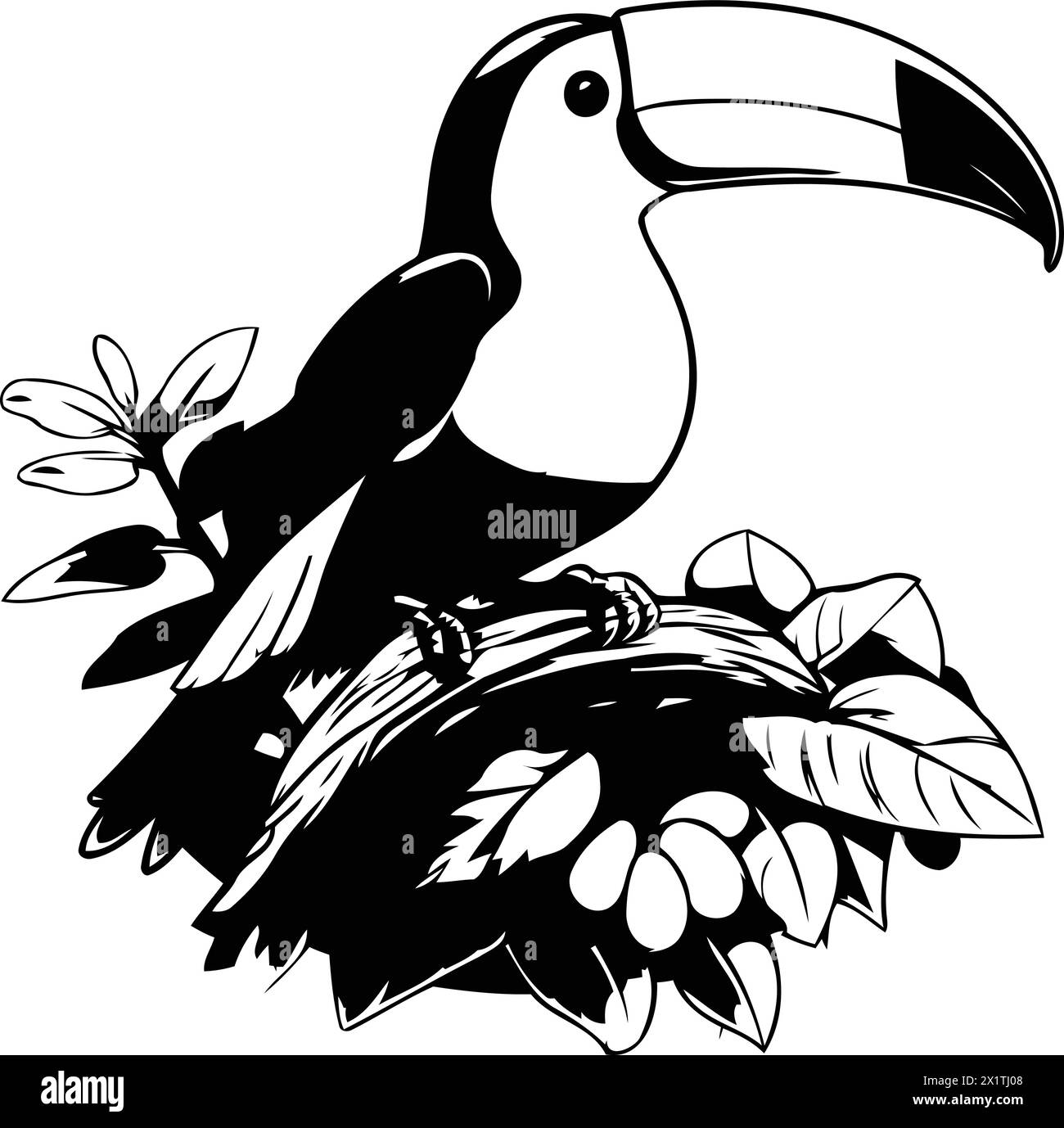 Tukanvogel sitzt auf einem Ast. Vektorillustration im Cartoon-Stil. Stock Vektor