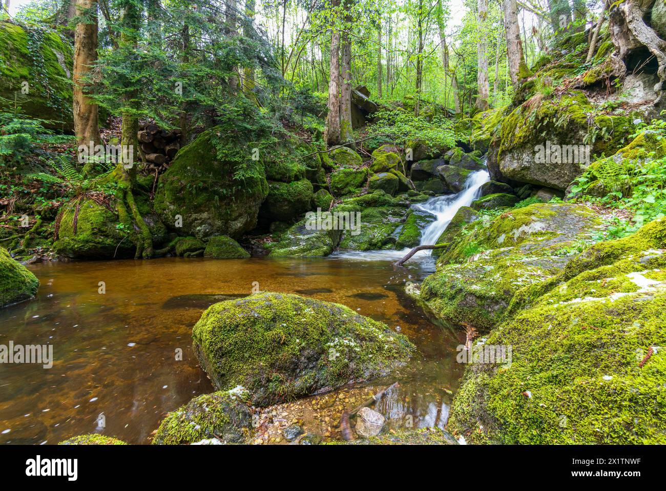 flussysper im Tal ypsertal im niederösterreichischen waldviertel *** fluss ysper im ypsertal in der niederösterreichischen Region waldviertel Copyright: XW.Simlingerx Stockfoto