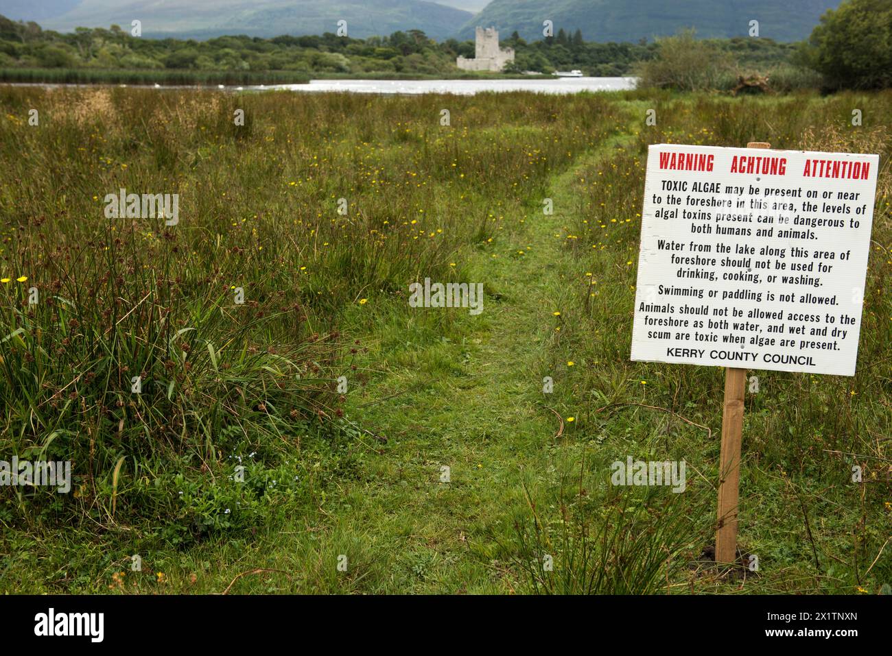 Öffentliches Warnschild für giftige Algen bei kontaminiertem Wasser am Lough Leane oder Lower Lake im Killarney National Park, County Kerry, Irland Stockfoto