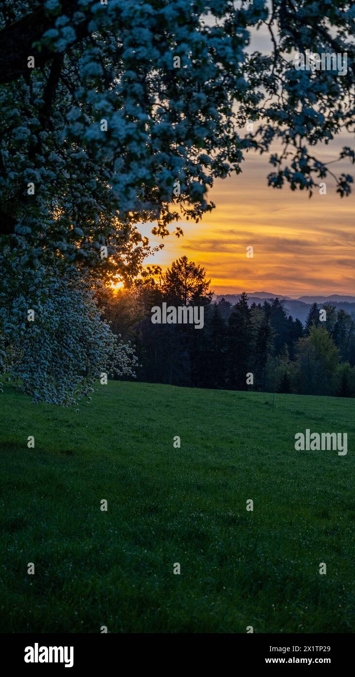 Sonnenuntergang über einer friedlichen Landstraße, mit dem Himmel in warmen Orange- und Gelbtönen gemalt, führt zu einem ruhigen Bauernhaus in der Ferne. Stockfoto