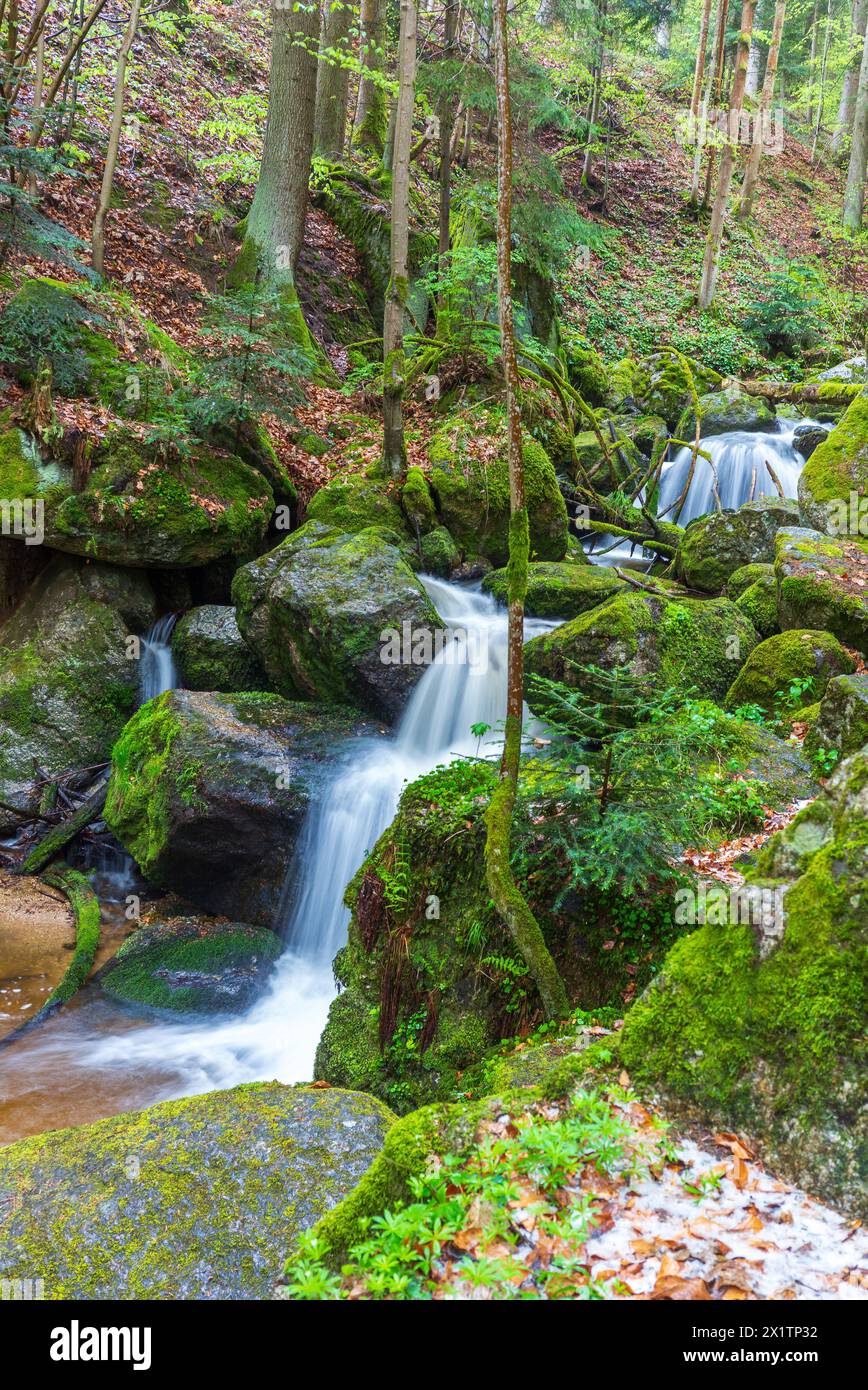 flussysper im Tal ypsertal im niederösterreichischen waldviertel *** fluss ysper im ypsertal in der niederösterreichischen Region waldviertel Copyright: XW.Simlingerx Stockfoto