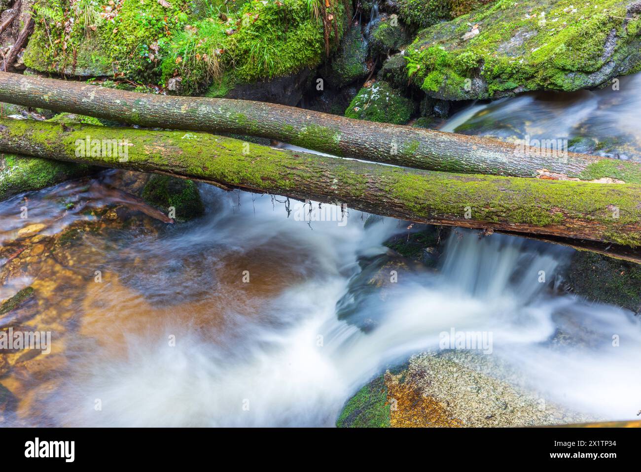flussysper im Tal ypsertal im niederösterreichischen waldviertel *** fluss ysper im ypsertal in der niederösterreichischen Region waldviertel Copyright: XW.Simlingerx Stockfoto