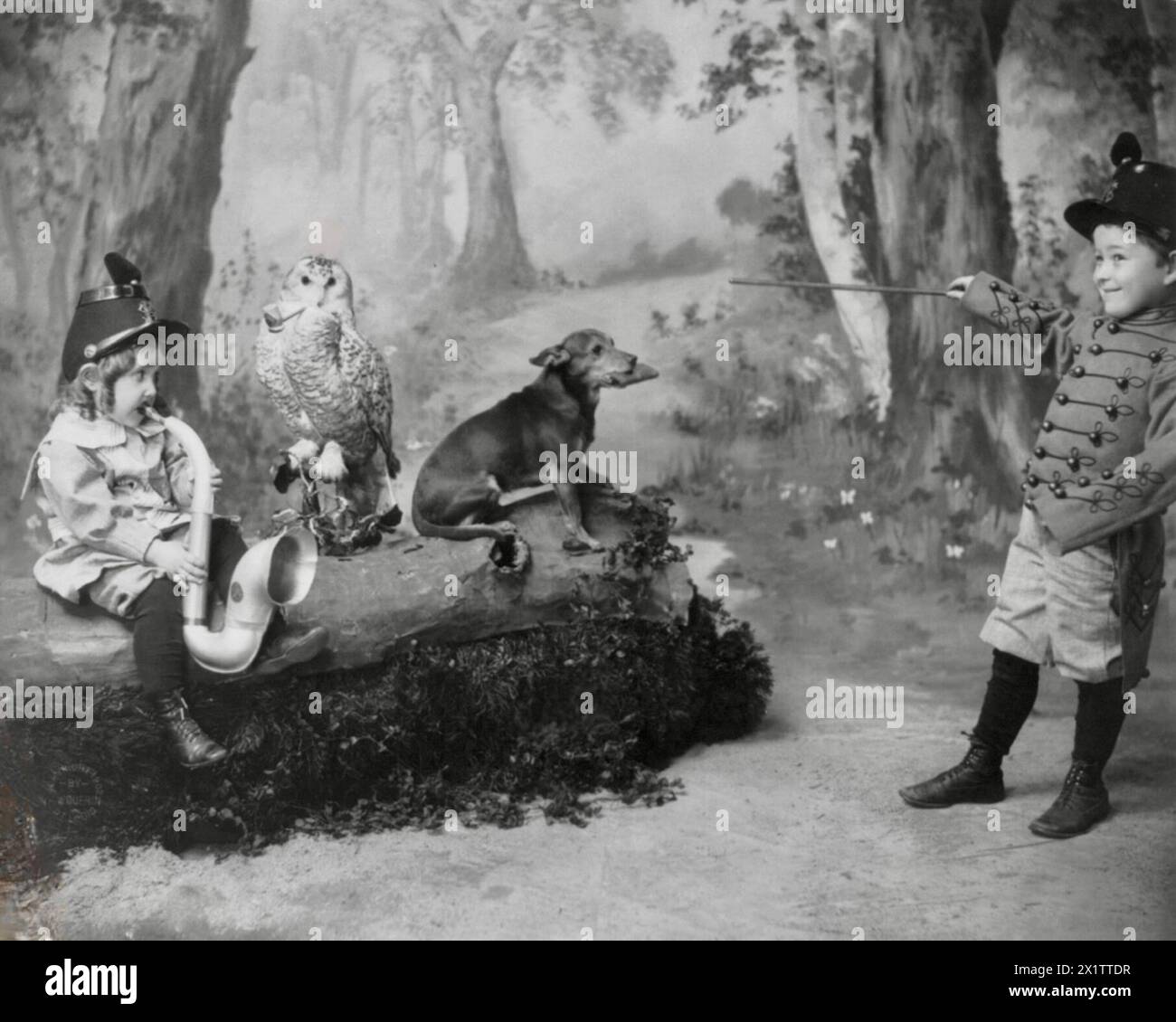 Mädchen, das Horn spielt, Eulen rauchende Pfeife, Junge in Uniform dirigiert, Hund spielt Mundharmonika - 1900 Stockfoto