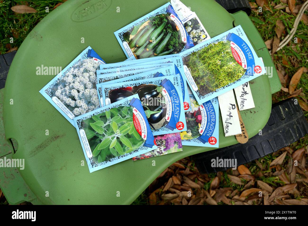 Verschiedene Pakete mit offenen Gartensamen, bereit zum Anpflanzen. Stockfoto