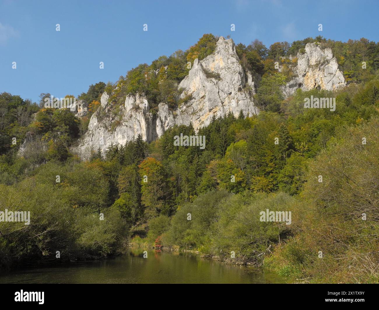 Knopfmacherfelsen, Naturpark obere Donau, Fridingen, Bezirk Tuttlingen, Baden-Württemberg, Deutschland Stockfoto