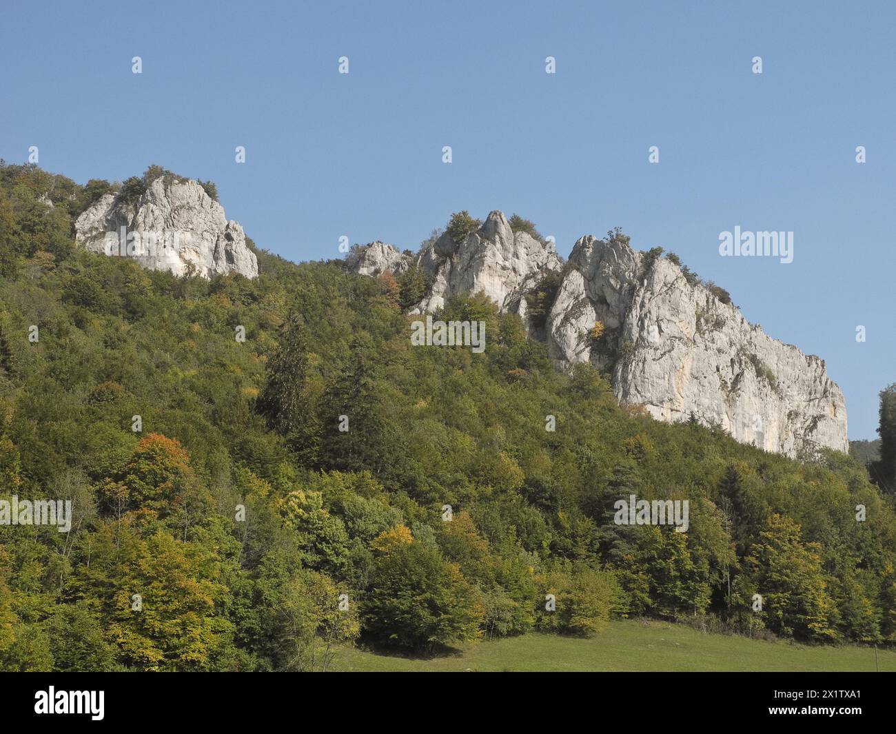 Knopfmacherfelsen, Naturpark obere Donau, Fridingen, Bezirk Tuttlingen, Baden-Württemberg, Deutschland Stockfoto
