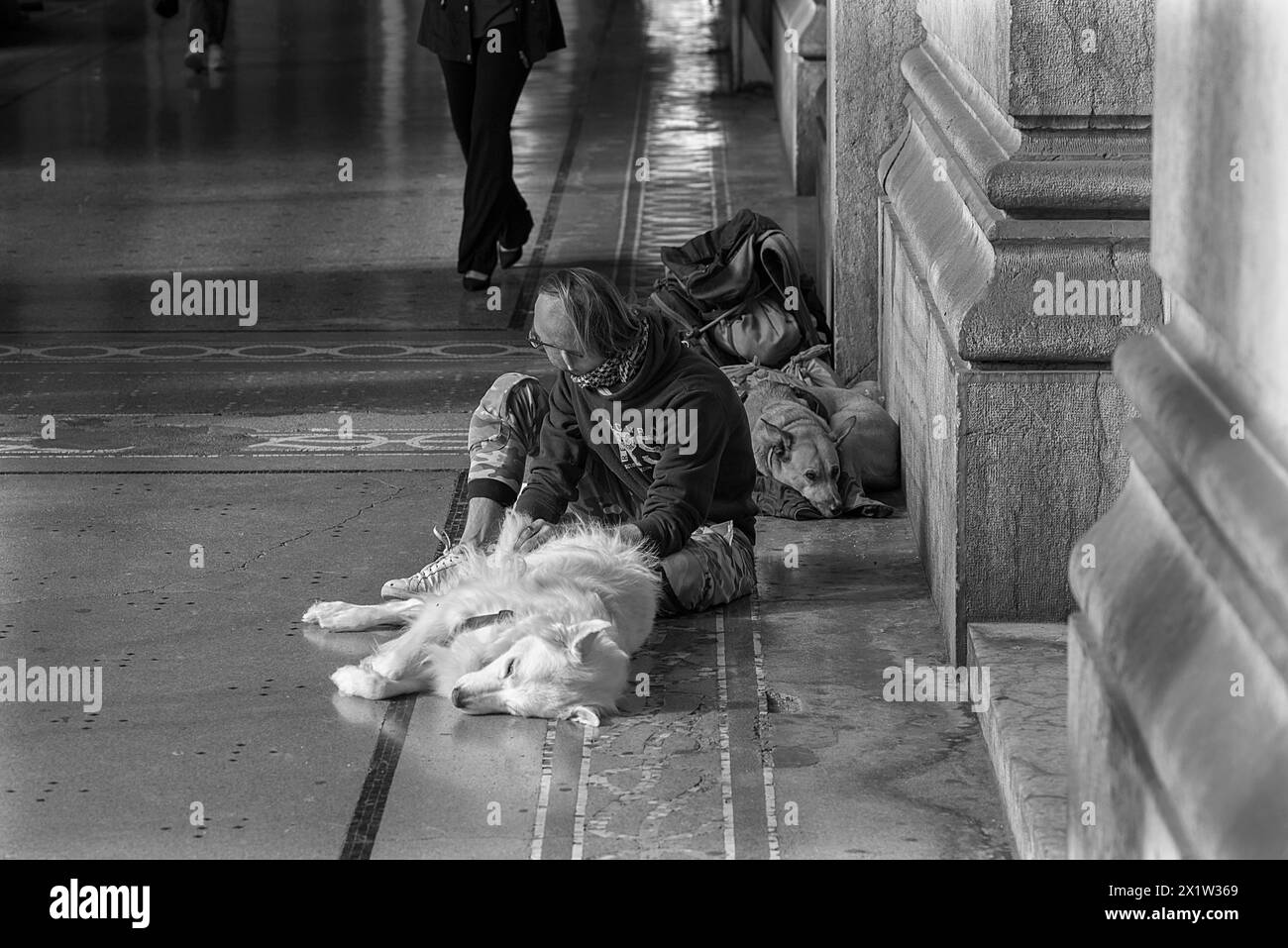 Junger Mann, der mit zwei Hunden in den Arkaden der Alten Börse sitzt, Genua, Italien Stockfoto