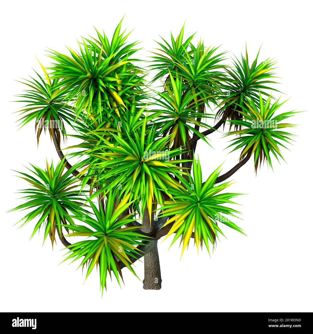 3D-Rendering einer Grünkohl-Palme isoliert auf weißem Hintergrund Stockfoto