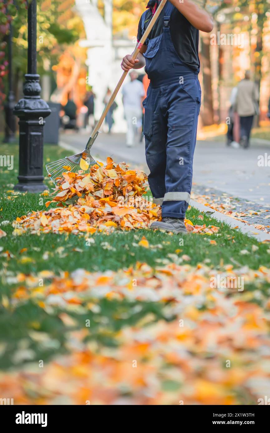 Mann Arbeiter, der trockenes Laub harkt, gefallenes Laub im Stadtpark reinigt. Herbst, Laubfall Stockfoto