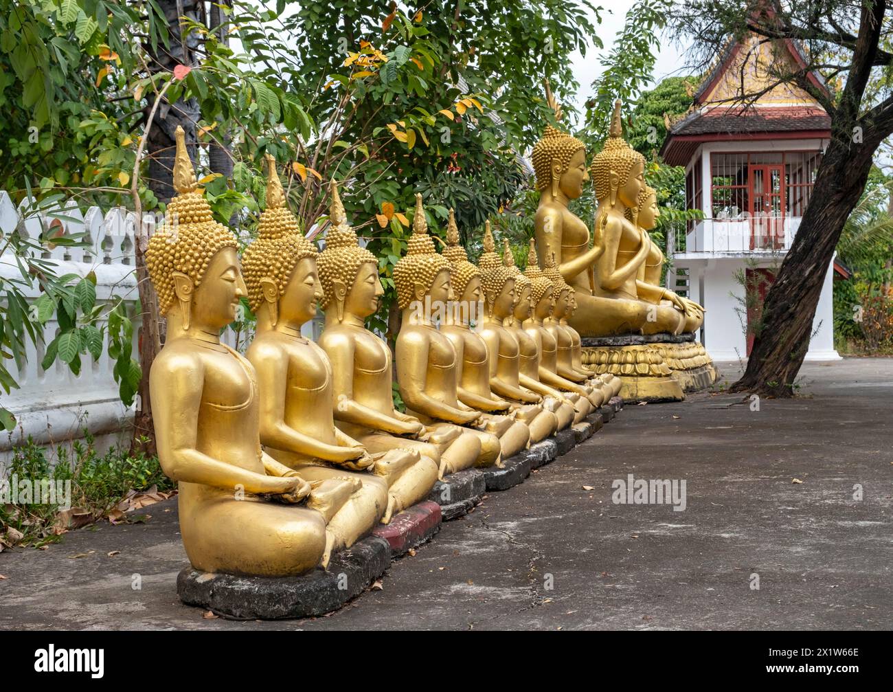 Reihe goldener Buddha-Bilder, Wat That Luang Tempel, Luang Prabang, Laos Stockfoto