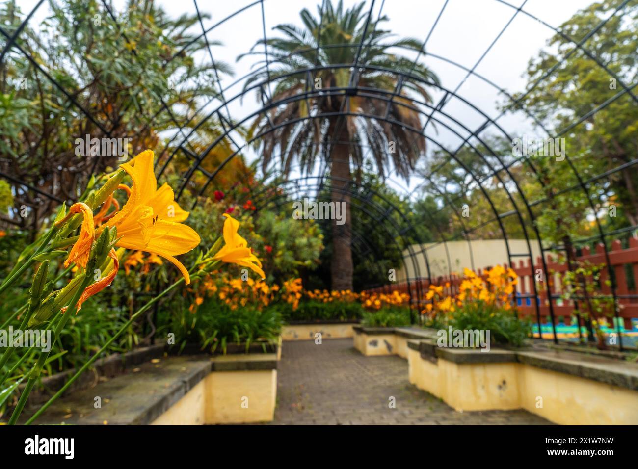 Schöner Weg in einem botanischen Garten, nachhaltiges Tourismuskonzept in Arucas, Gran Canaria. Spanien Stockfoto