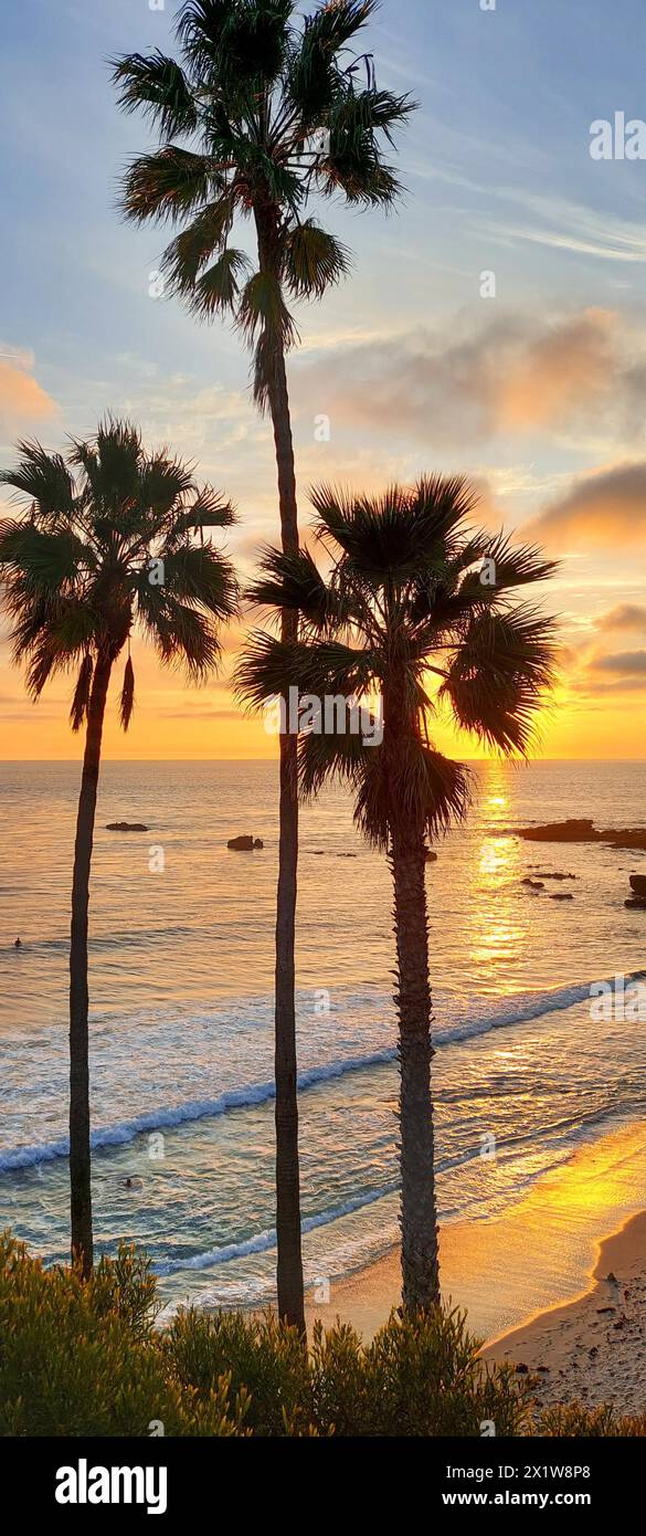 Ein Sonnenuntergang über dem Meer mit Palmen im Vordergrund. Der Himmel ist eine Mischung aus Orange- und Rosa-Tönen, die eine warme und ruhige Atmosphäre schaffen Stockfoto