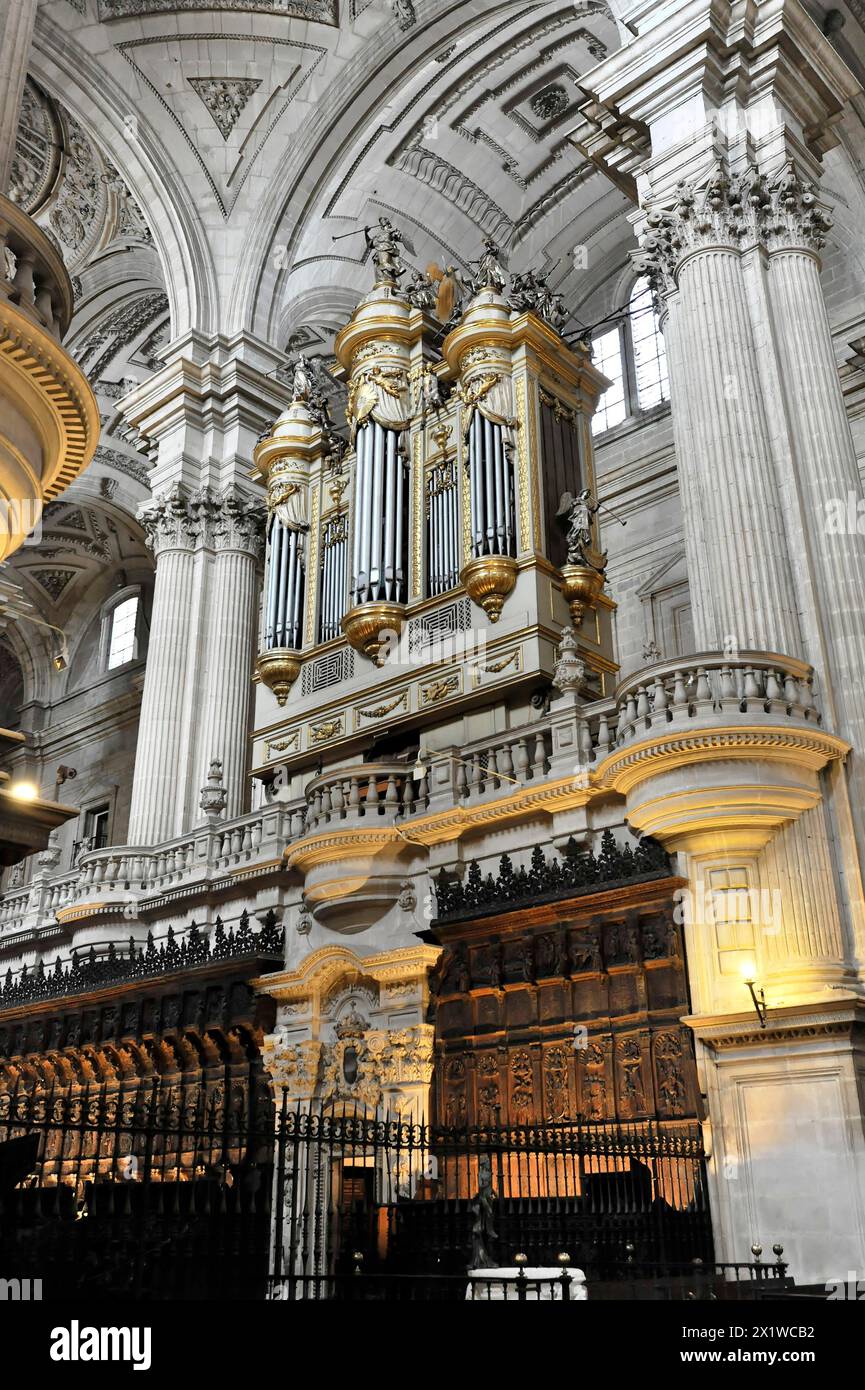 Jaen, Catedral de Jaen, Kathedrale von Jaen aus dem 13. Jahrhundert, Renaissance-Kunst, Jaen, Eine große Kirchenorgel umgeben von Säulen und Stockfoto