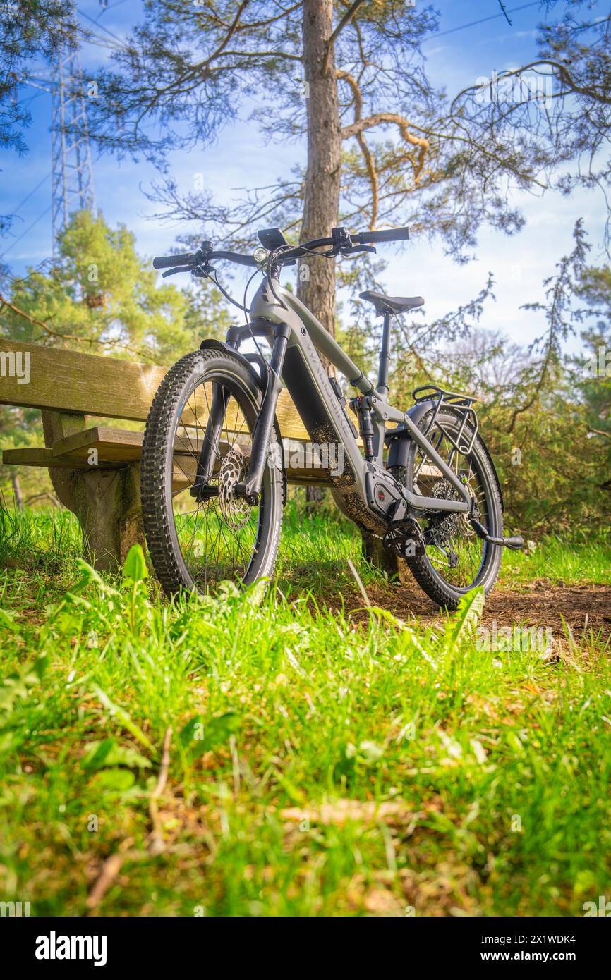Ein Mountainbike steht im Wald auf Gras mit Sonnenstrahlen im Hintergrund, Frühling, E-Bike Waldbike, Gechingen, Schwarzwald, Deutschland Stockfoto