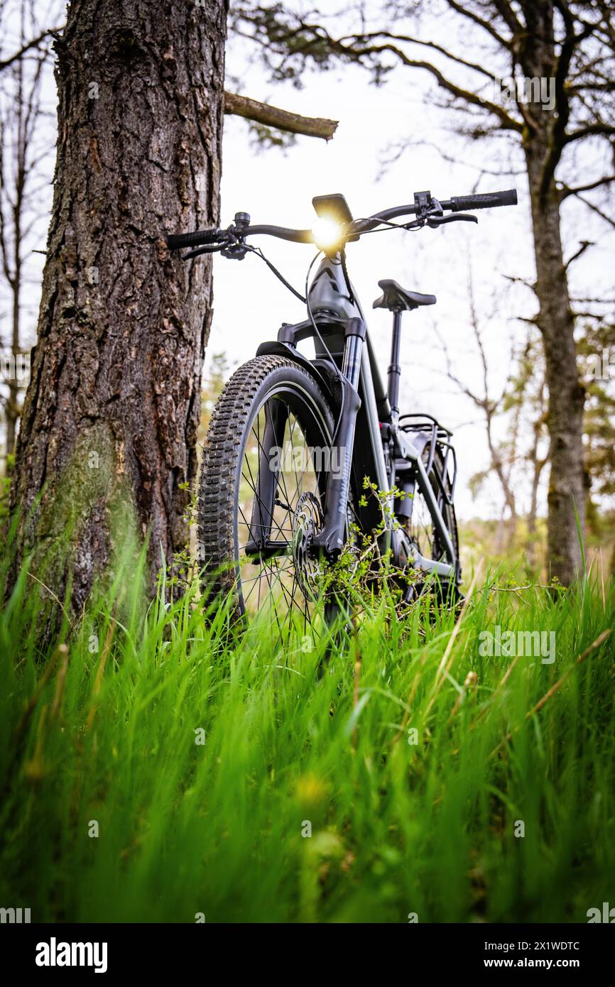 Ein Mountainbike im goldenen Abendlicht an einen Baum gelehnt, Frühling, E-Bike Waldbike, Gechingen, Schwarzwald, Deutschland Stockfoto