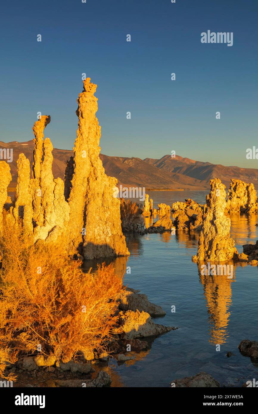 Tuffformationen am Mono Lake bei Sonnenaufgang, Mono Lake Tufa State Reserve, Kalifornien, USA, Mono Lake Tufa State Reserve, Kalifornien, USA Stockfoto