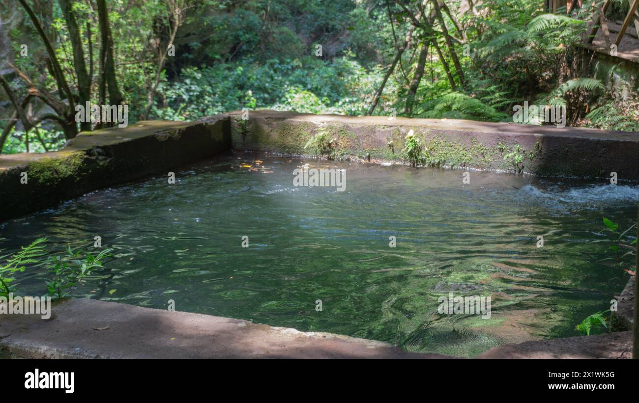 Entfliehen Sie dem Alltag in diesem abgeschiedenen Juwel – einem unberührten natürlichen Pool, umgeben von üppigem Laub Stockfoto