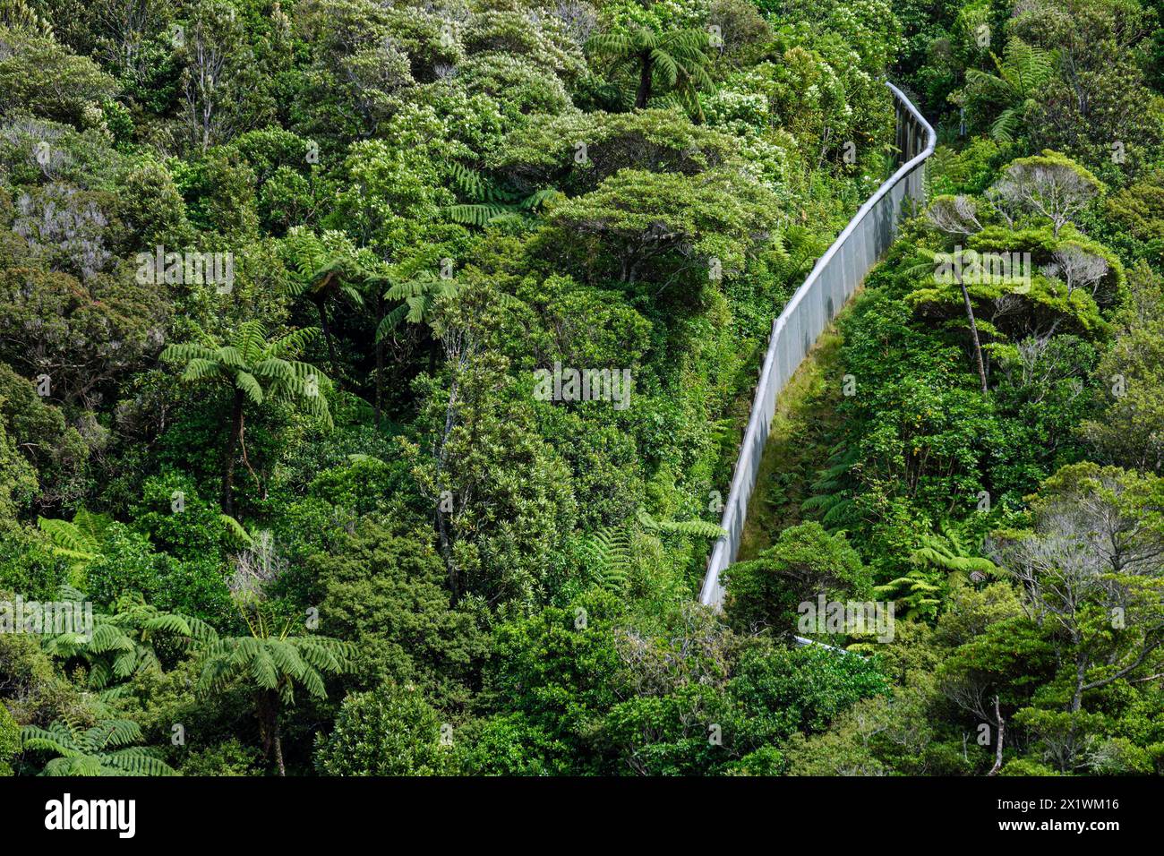 Der Sperrzaun für Raubtiere, Zealandia, Wellington, Nordinsel, Neuseeland Stockfoto