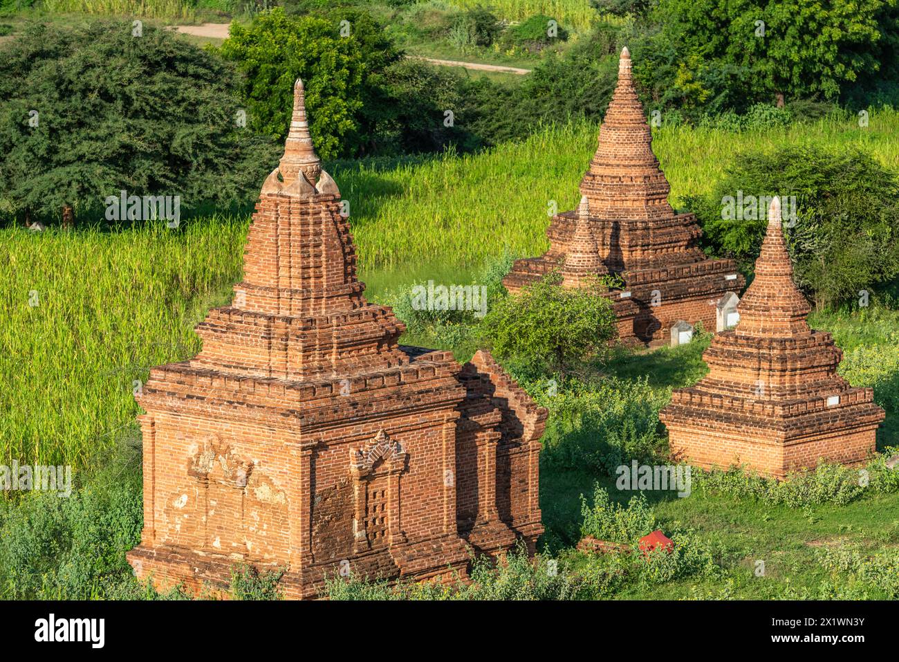 Bagan, Myanmar Tempel im archäologischen Park. Stockfoto