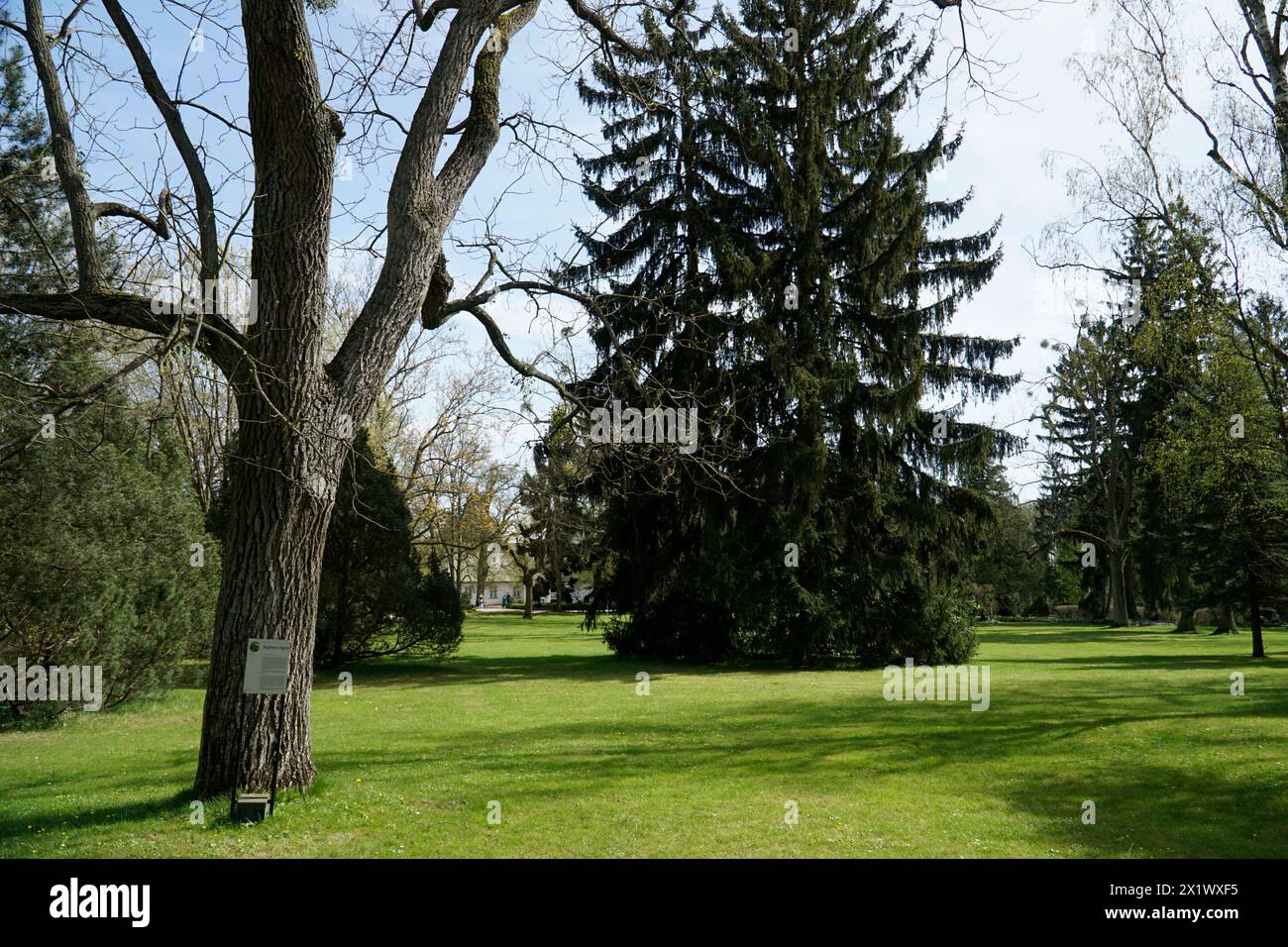 Zelazowa Wola, Polen - 7. April 2024 - Park - Geburtsort von Frederic Chopin Stockfoto