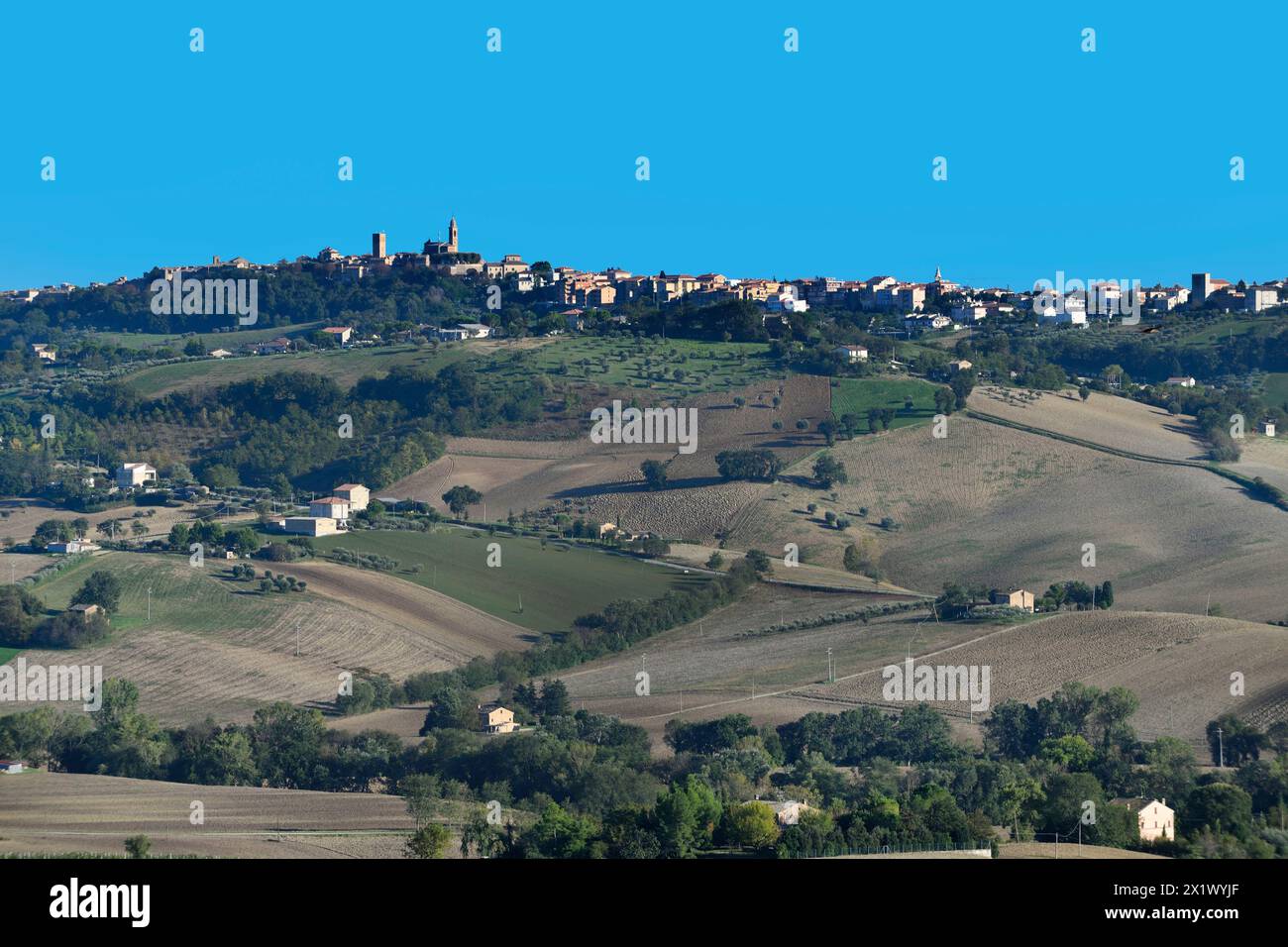Hügelige Landschaft in der Nähe von Mogliano. Marken. Italien Stockfoto