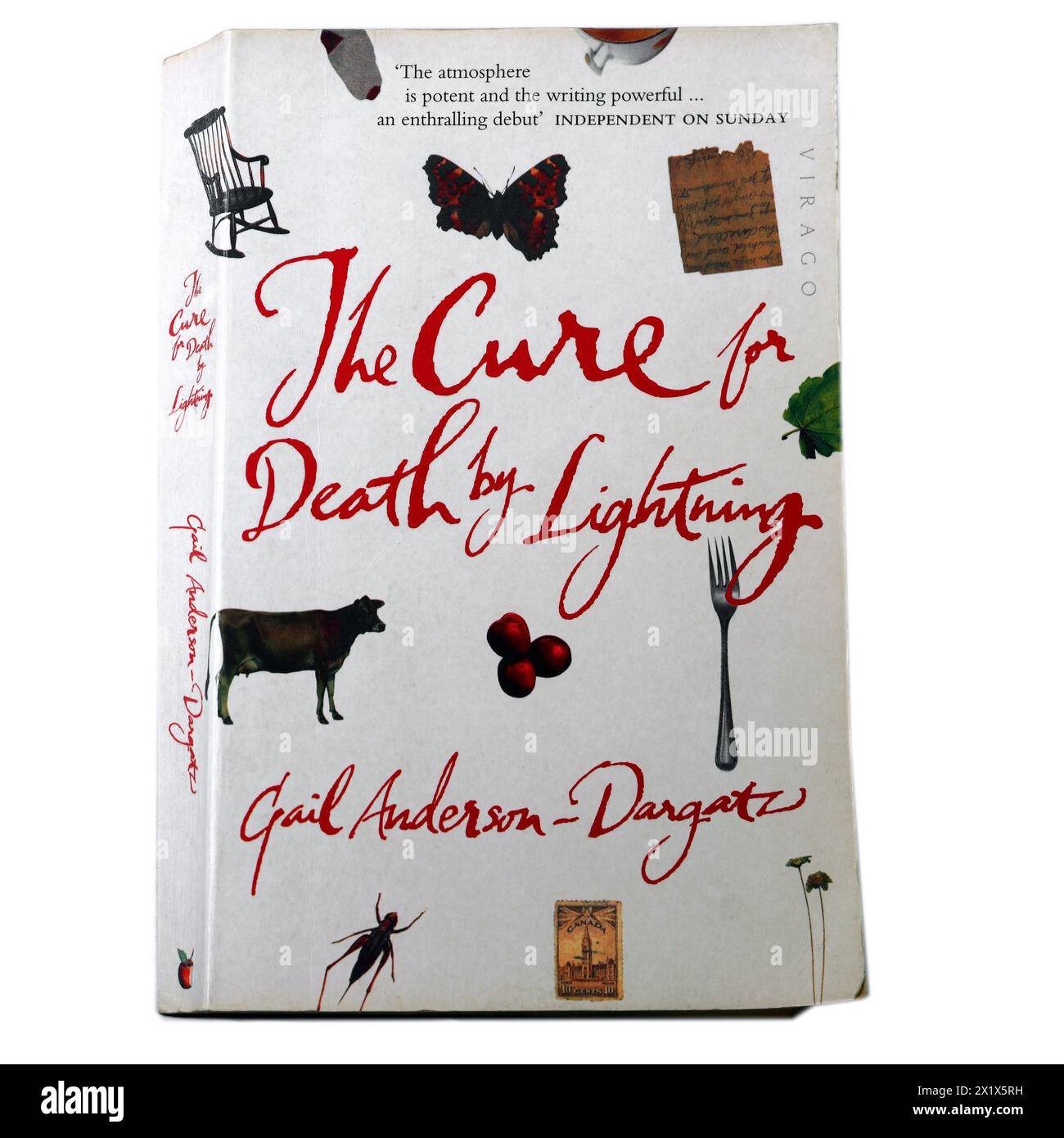 Buchcover - The Cure for Death by Lightning von Gail Anderson-Dargatz. Studio-Einrichtung wurde 2024 aufgenommen Stockfoto