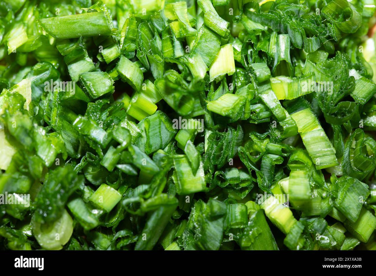 Geschnittener Schnittlauch, grüner Hintergrund, Vollbild. Stockfoto