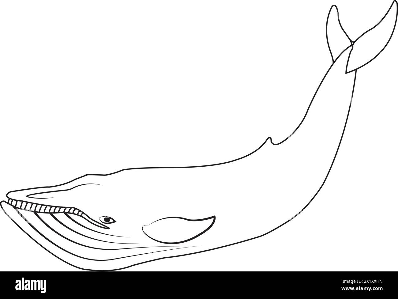 Whale Icon Vektor Illustration einfaches Design Stock Vektor
